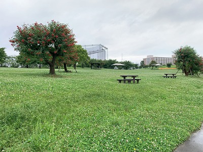 住み方はあなたの自由