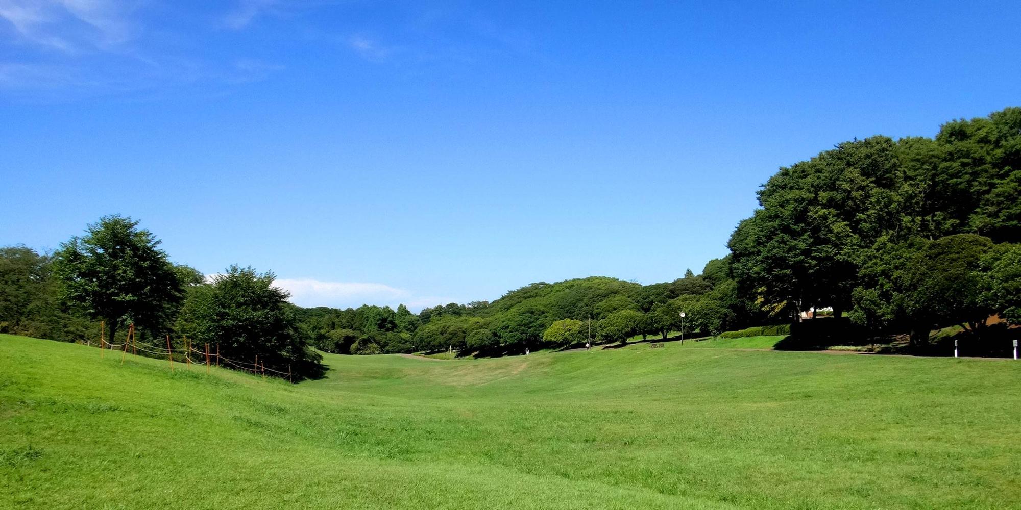 窓がたくさんある開放空間