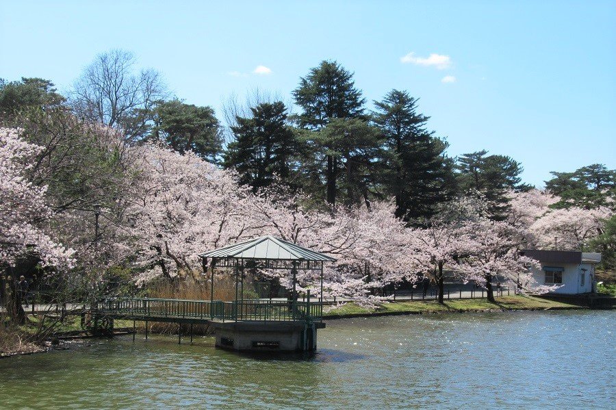 ぽかぽか陽気でくつろげる空間