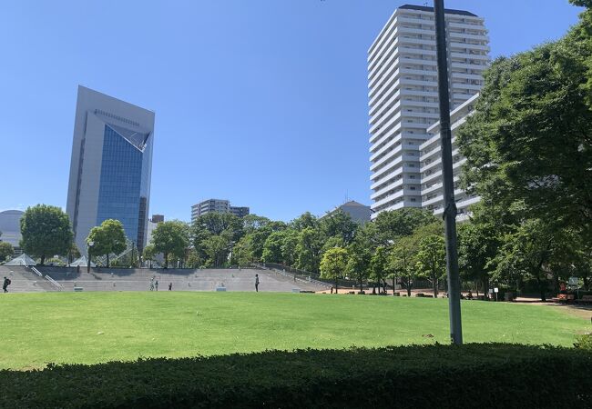 私の自慢のプライベートガーデン!